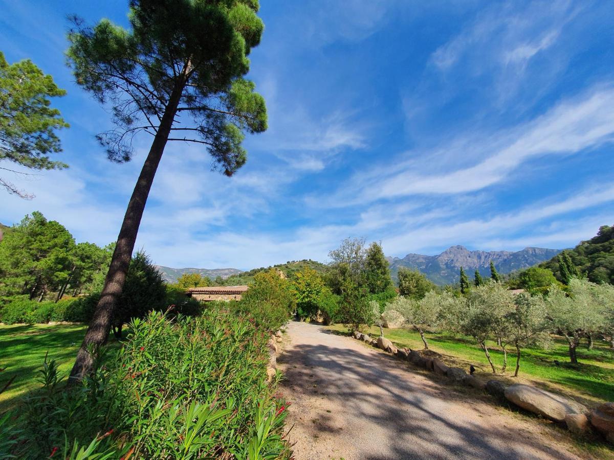 Domaine Codaleone Serriera  Bagian luar foto