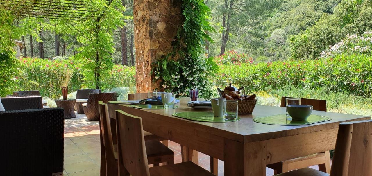 Domaine Codaleone Serriera  Bagian luar foto