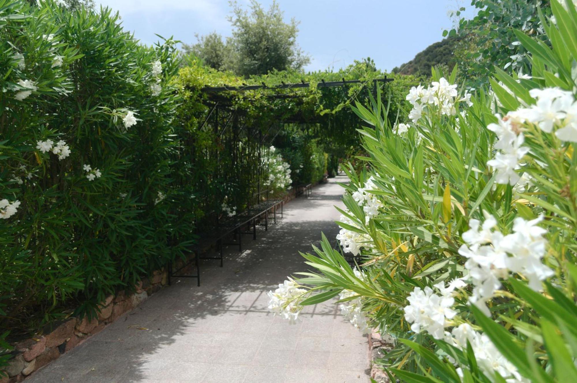 Domaine Codaleone Serriera  Ruang foto